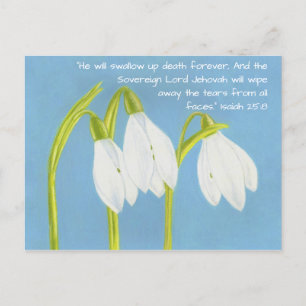 Carte Postale Fleurs SnowDrops