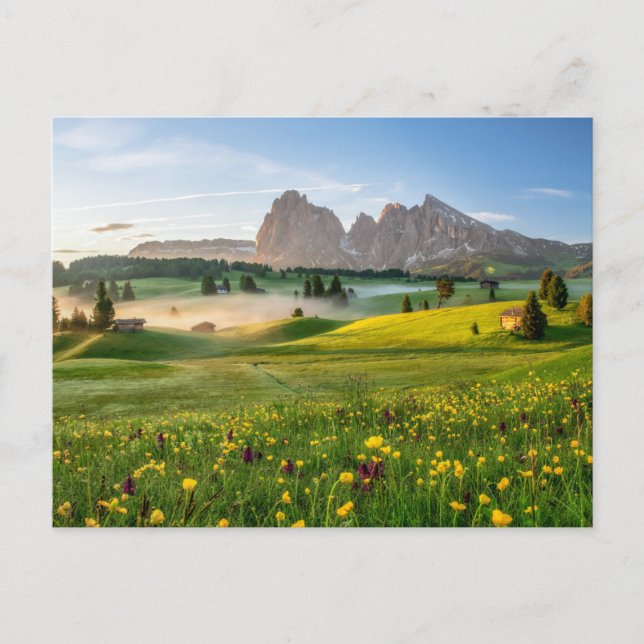 Carte Postale Fleurs | Spring Alpe di Siusi Langkofel (Devant)