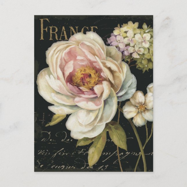 Carte Postale Fleurs sur noir (Devant)