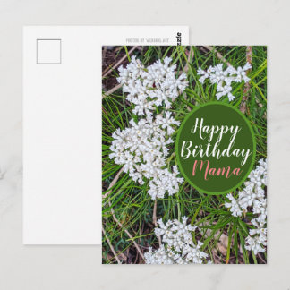 Carte Postale Fleurs vertes et blanches fraîches Joyeux Annivers