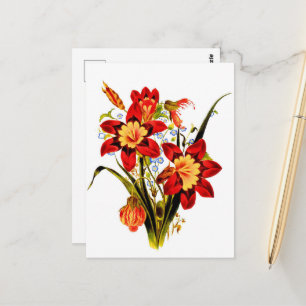 Carte Postale Fleurs Vintage