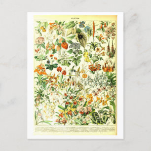 Carte postale Fleurs vintages