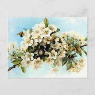 Carte Postale Fleurs vintages d'Apple