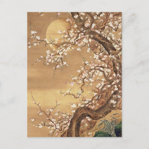 Carte Postale Fleurs vintages de prunes japonaises au clair de l