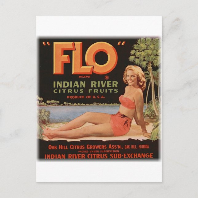 Carte Postale Flo Oranges Vintage (Devant)