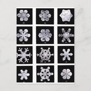 Carte Postale Flocon de neige