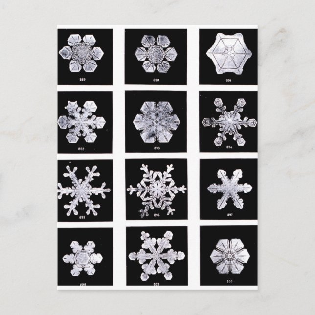 Carte Postale Flocon de neige (Devant)