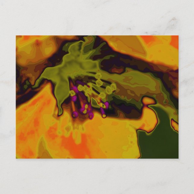Carte Postale floraison de pommier (Devant)