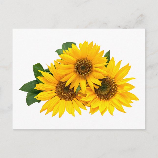 Carte Postale Floral Fleur de soleil jaune - Bonjour, Amour (Devant)