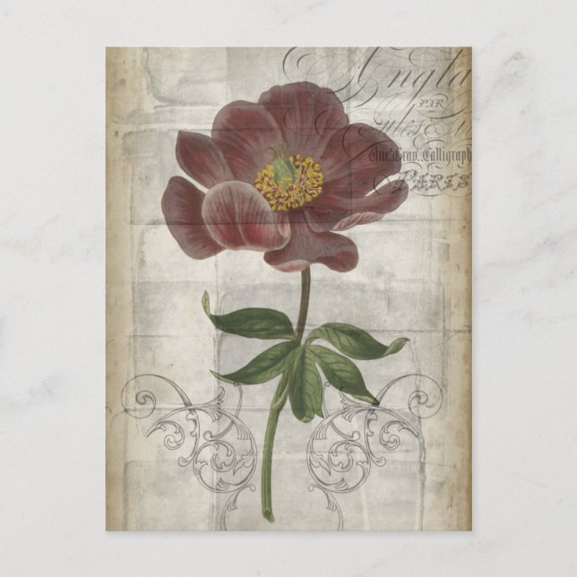 Carte Postale Floral français I (Devant)