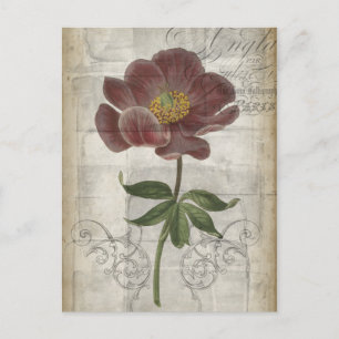 Carte Postale Floral français I