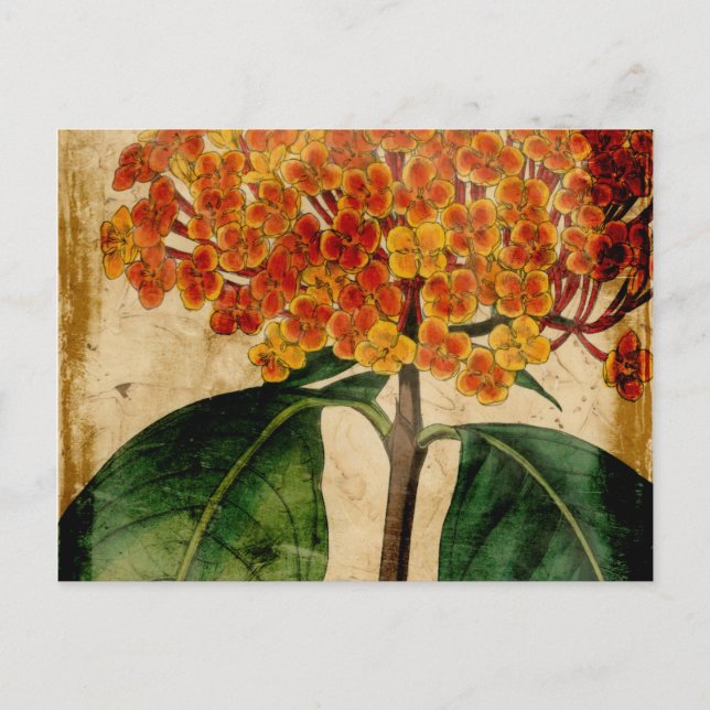 Carte Postale Floral I (Devant)