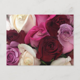 Carte Postale Floral rose