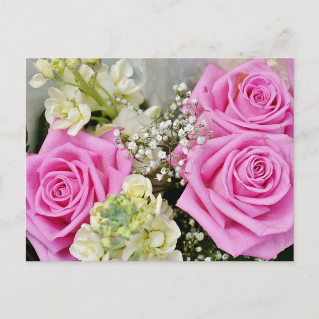 Carte Postale Floral Rose Rose Flower Blu (Devant)