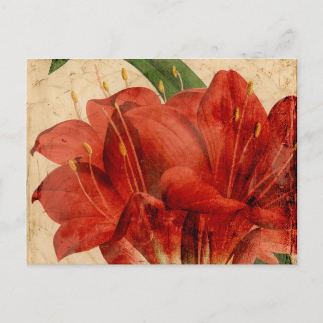 Carte Postale Floral vibrant VIII (Devant)