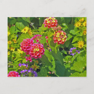Carte postale florale