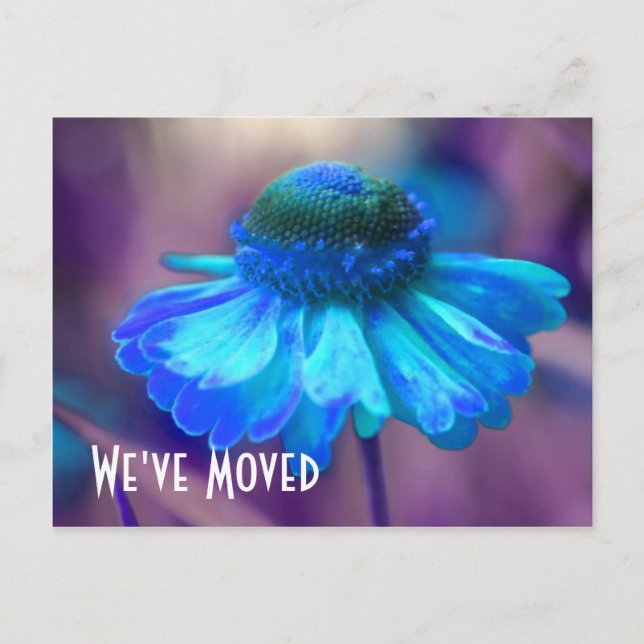 Carte postale florale de nouvelle adresse Blue Zin (Devant)