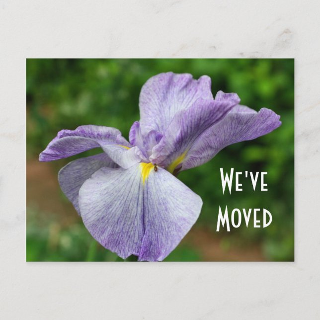 Carte postale florale de nouvelle adresse d'Iris j (Devant)