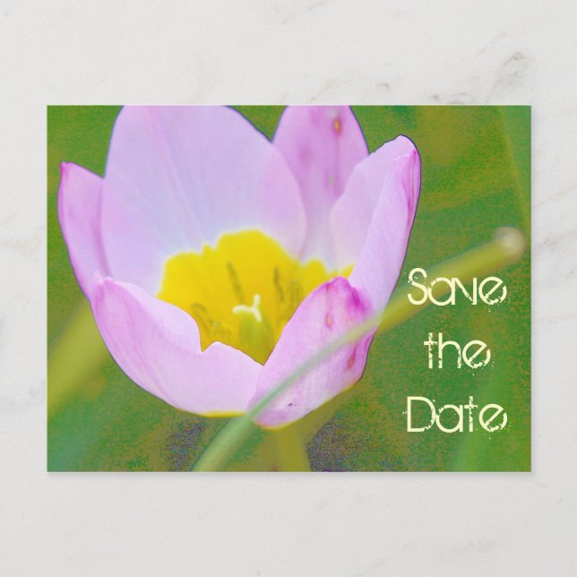 carte postale florale de sauvegarde de la date (Devant)