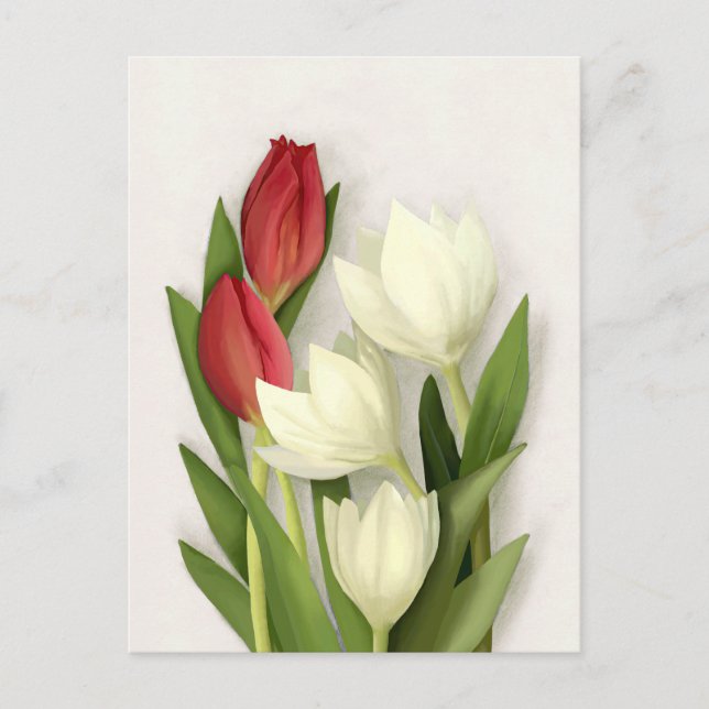 Carte postale florale de tulipes rouges et blanche (Devant)