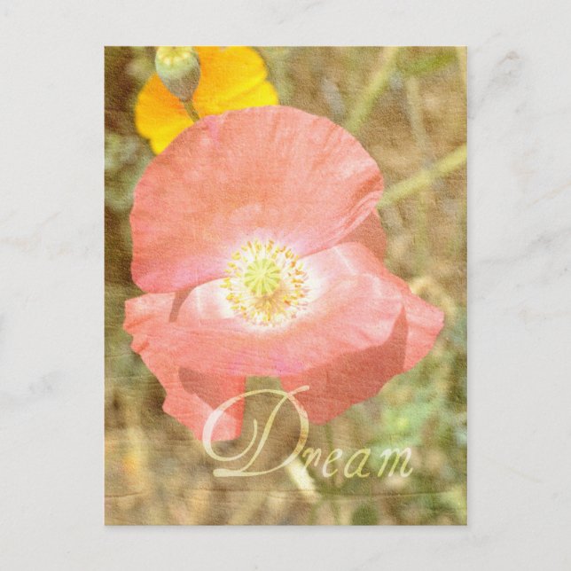 Carte postale Flore Poppy Dream (Devant)