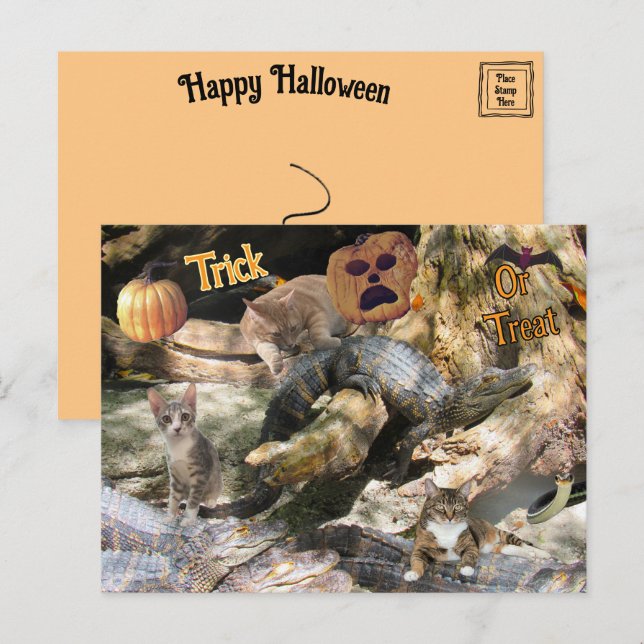 Carte postale Florida Cat et Gator Halloween (Devant / Derrière)