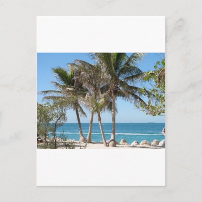 Carte Postale Florida Keys (Devant)