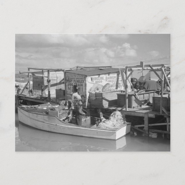 Carte Postale Florida Keys Fishing, 1938 (Devant)