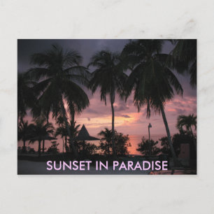 Carte postale Florida Keys Sunset in Paradise