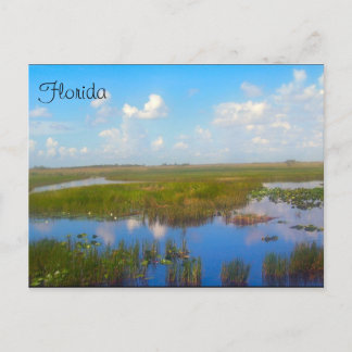 Carte postale Florida Marsh