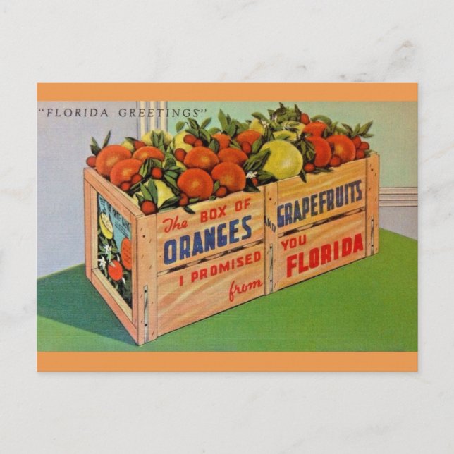 Carte postale Florida Oranges et Crate de pamplemo (Devant)