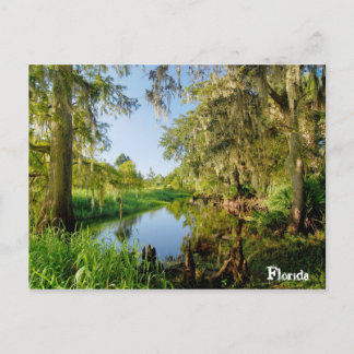 Carte Postale Floride