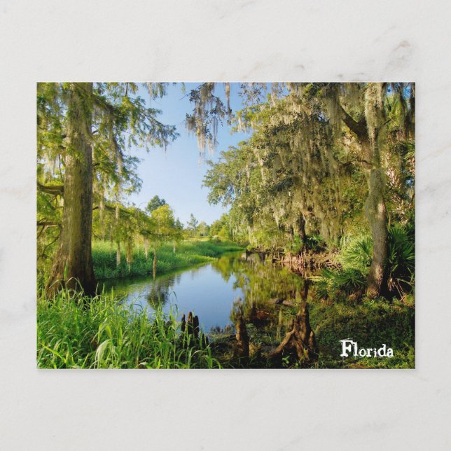 Carte Postale Floride (Devant)
