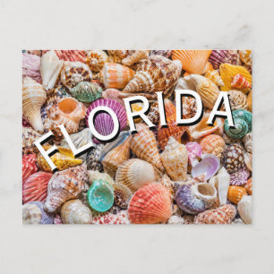 Carte Postale Floride