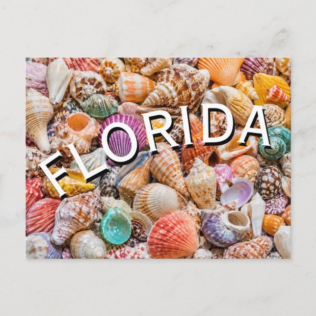 Carte Postale Floride  (Devant)