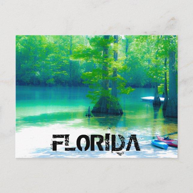 CARTE POSTALE FLORIDE (Devant)