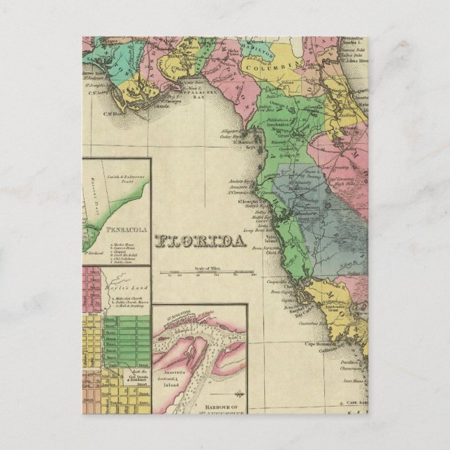 Carte Postale Floride 11 (Devant)