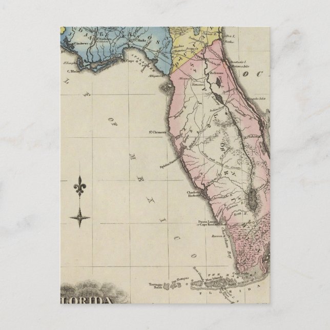 Carte Postale Floride 11 (Devant)