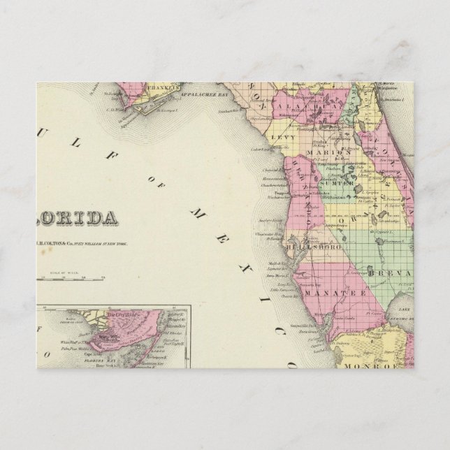 Carte Postale Floride 5 (Devant)