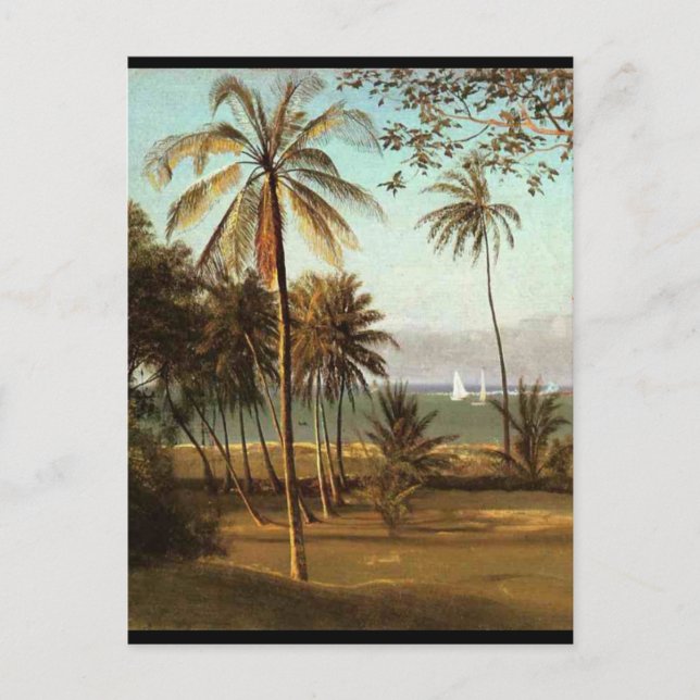 Carte Postale Floride - Albert Bierstadt (Devant)