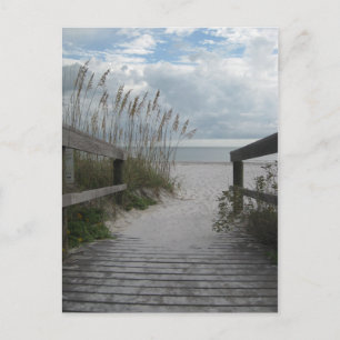 Carte Postale Floride Beach Path