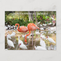 Floride Bonita Springs Flamant rose rose Voyage