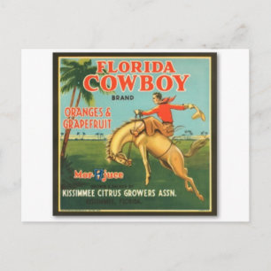 Carte Postale Floride Cowboy