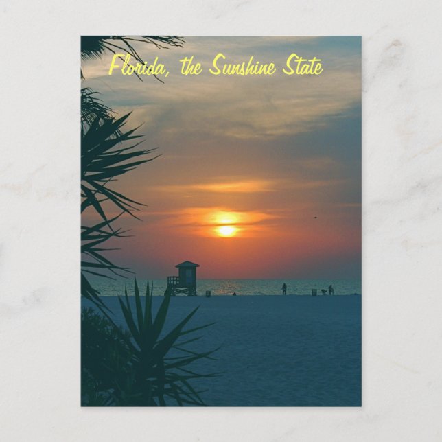 Carte Postale Floride, État de Sunshine (Devant)