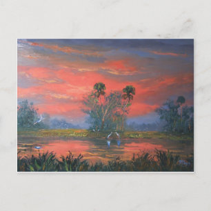Carte Postale Floride Everglades Fire Sky