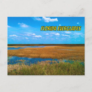 Carte Postale Floride Everglades Sawgrass, Sky & Réflexions