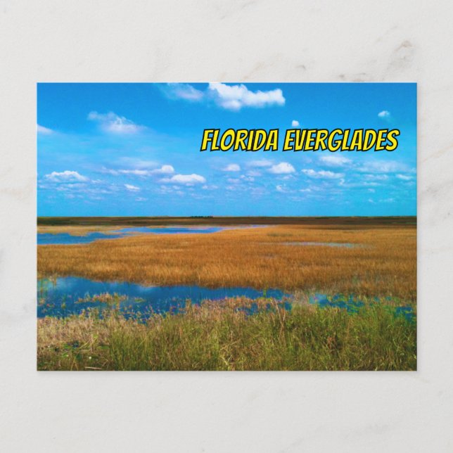 Carte Postale Floride Everglades Sawgrass, Sky & Réflexions (Devant)