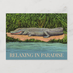 Carte postale Floride Gator détendue