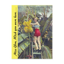 Floride, "La ville ensoleillée"