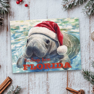 Carte Postale Floride Manatee Aquarelle Noël